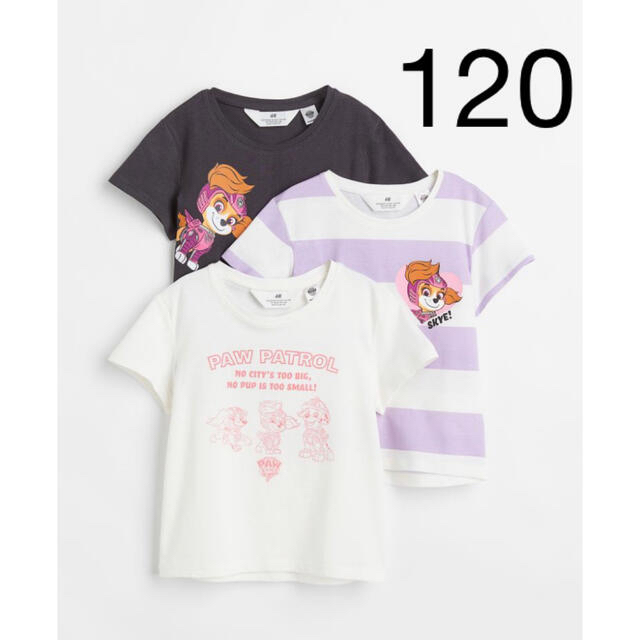 専用　パウパトロール　Tシャツ　3枚セット& スカイ　ワンピース　120/130