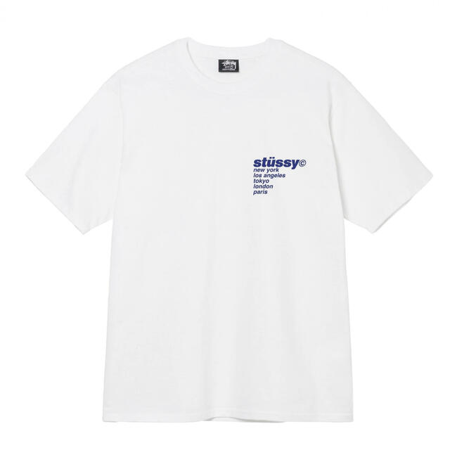 STUSSY strawberry ストロベリー　Tシャツ 1