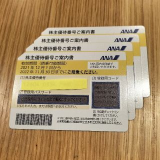 エーエヌエー(ゼンニッポンクウユ)(ANA(全日本空輸))のANN株主優待券(その他)