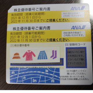 エーエヌエー(ゼンニッポンクウユ)(ANA(全日本空輸))のANA 全日空 株主優待券2枚(その他)