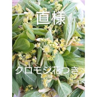 直様　フレッシュクロモジ　信州　北アルプス産　ゆしゃはま(野菜)