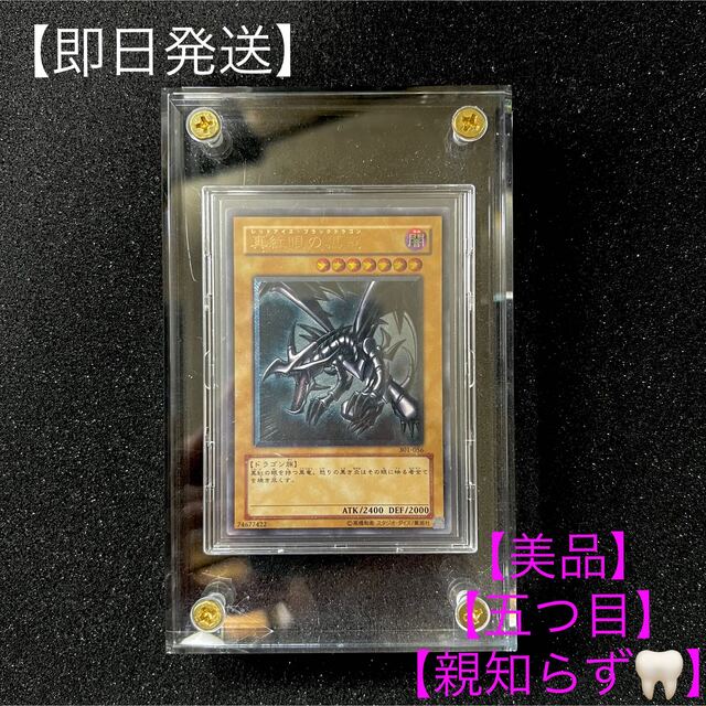 遊戯王 - 【遊戯王】【レリーフ】【親知らず】【五つ目】【美品