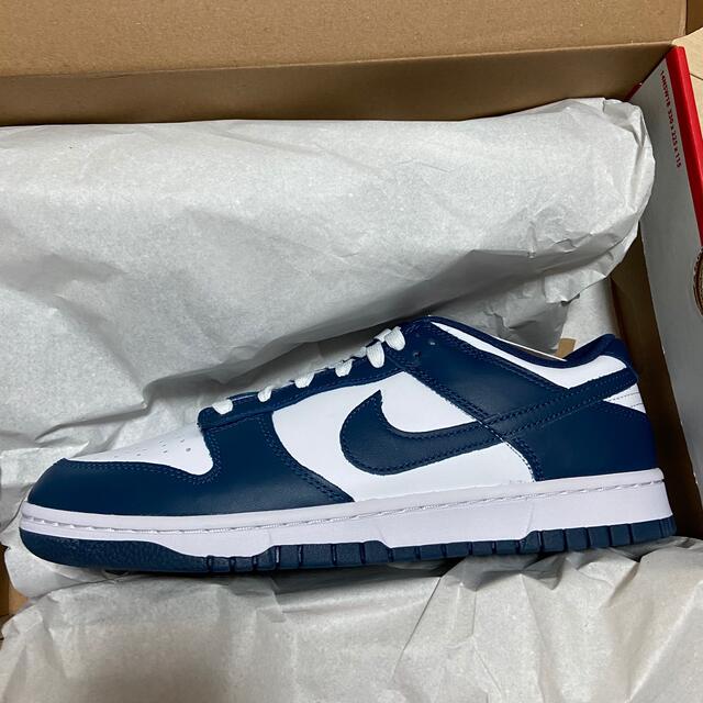 Nike Dunk Low ナイキ ダンク ロー バレリアンブルー28