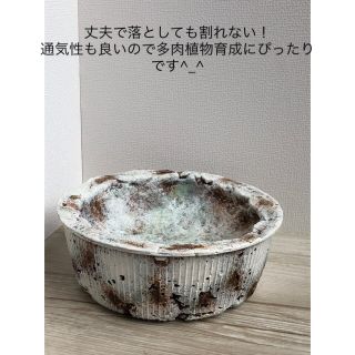 多肉植物リメイク鉢^ ^(その他)