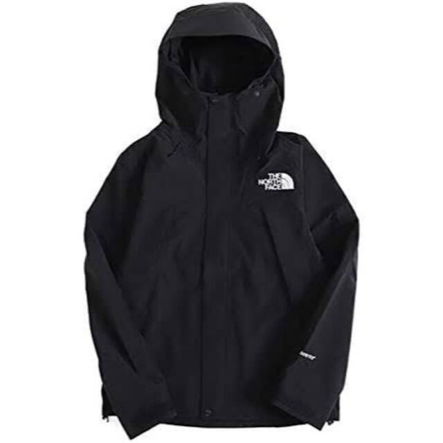 North Face ノースフェイスGORE-TEX