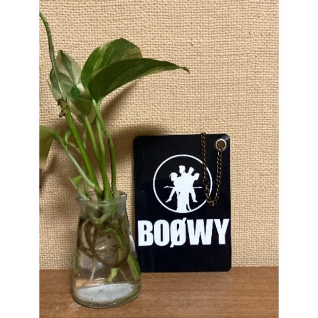 BOOWY.ラミネート Lサイズ(2枚) エンタメ/ホビーのタレントグッズ(ミュージシャン)の商品写真