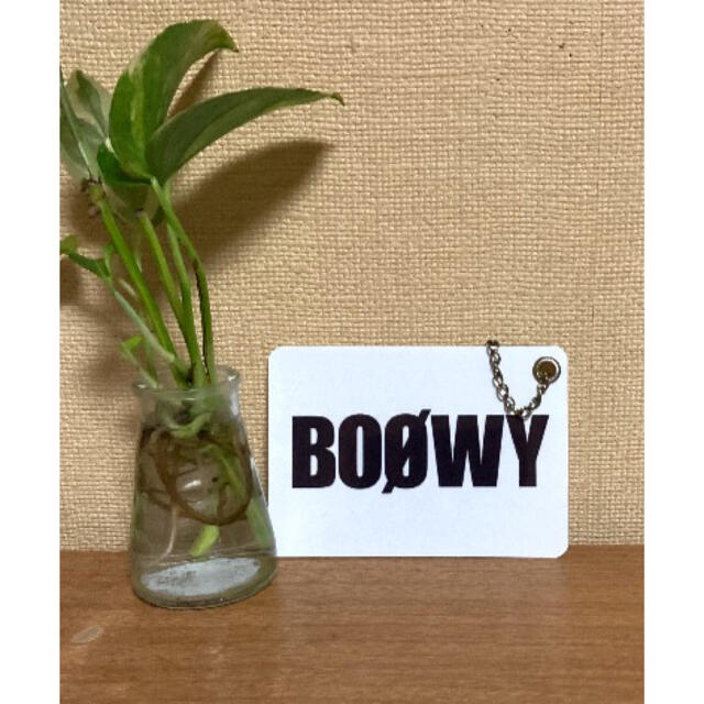 BOOWY.ラミネート Lサイズ(2枚) エンタメ/ホビーのタレントグッズ(ミュージシャン)の商品写真