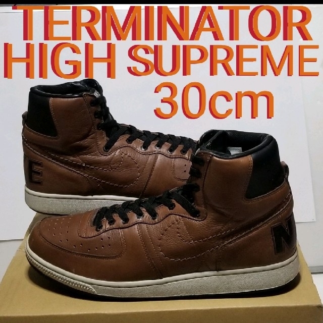 スニーカーNIKE TERMINATOR HIGH SUPREME QS 30cm