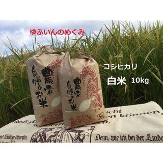 減農薬栽培コシヒカリ白米10kg(米/穀物)