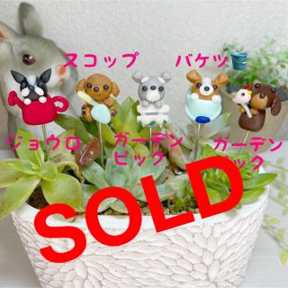 ハンドメイド　ガーデンピック　ガーデングッズとワンちゃんピック　多肉植物(その他)