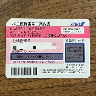 エーエヌエー(ゼンニッポンクウユ)(ANA(全日本空輸))の【最新】ANA株主優待券(その他)