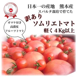 【今だけ20%還元】受賞歴３回!訳ありソムリエトマト4.5-5.5kgオマケ②(野菜)
