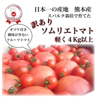 【今だけ20%還元】受賞歴３回!訳ありソムリエトマト4.5-5.5kgオマケ③(野菜)