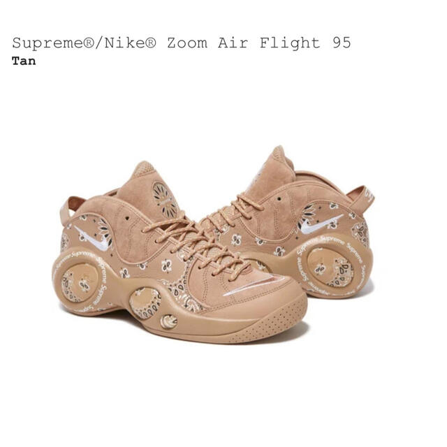 【29.5cm】Supreme Nike Zoom Air Flight 95