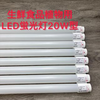 生鮮食品料理用LED照明　LED蛍光灯20W型 片側給電 6本　ばら売り可(蛍光灯/電球)