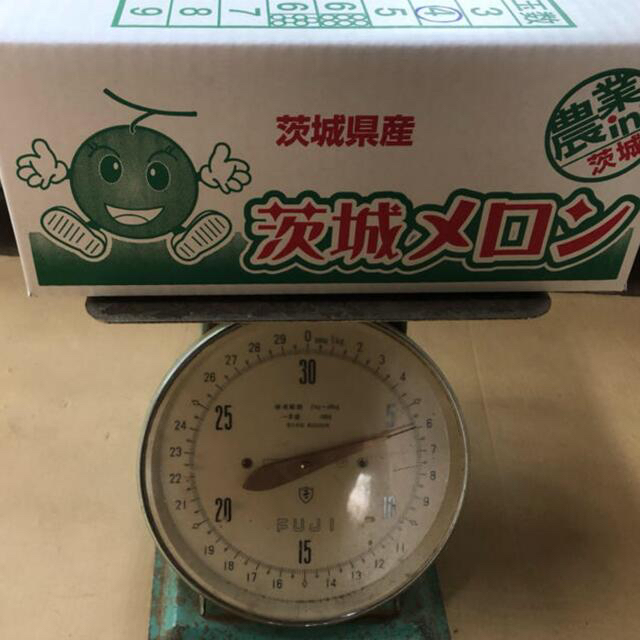 アンデスメロン 優品　3L 食品/飲料/酒の食品(フルーツ)の商品写真