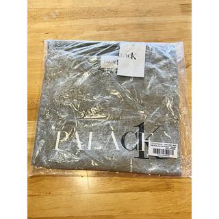 パレス(PALACE)の2XL palace Calvin Klein tee grey(Tシャツ/カットソー(半袖/袖なし))