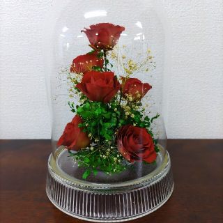 ♡ブリザーブドフラワー赤い薔薇♡(プリザーブドフラワー)