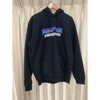 パタゴニア(patagonia)のパタゴニア　P-6ロゴ・アップライザル・フーディ L(パーカー)