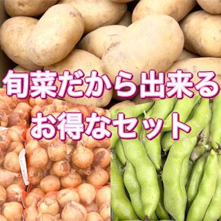 新玉ねぎ＆新じゃがいも＆そら豆セット   約5kg(野菜)