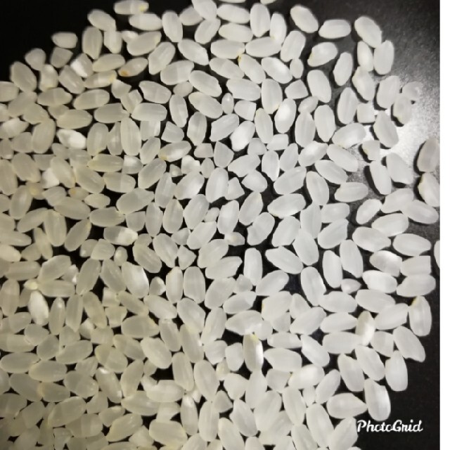 極良食味 いのちの壱 玄米30kg - prismalink.co.id