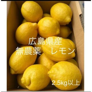 国産　レモン　広島県産　無農薬　レモン　瀬戸内レモン　2.5kg以上　産地直送(フルーツ)