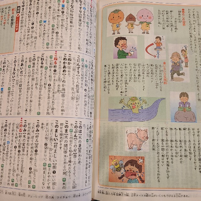 例解 小学国語辞典 第7版 三省堂　小学生国語辞典 エンタメ/ホビーの本(語学/参考書)の商品写真