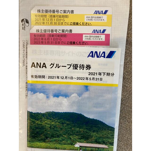 ANA(全日本空輸)(エーエヌエー(ゼンニッポンクウユ))のANA 株主優待券　2枚 チケットの優待券/割引券(その他)の商品写真