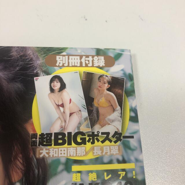 BOMB ポストカードB 頓知気&ぽぽ生写真4枚セット週刊ヤングジャンプの ...