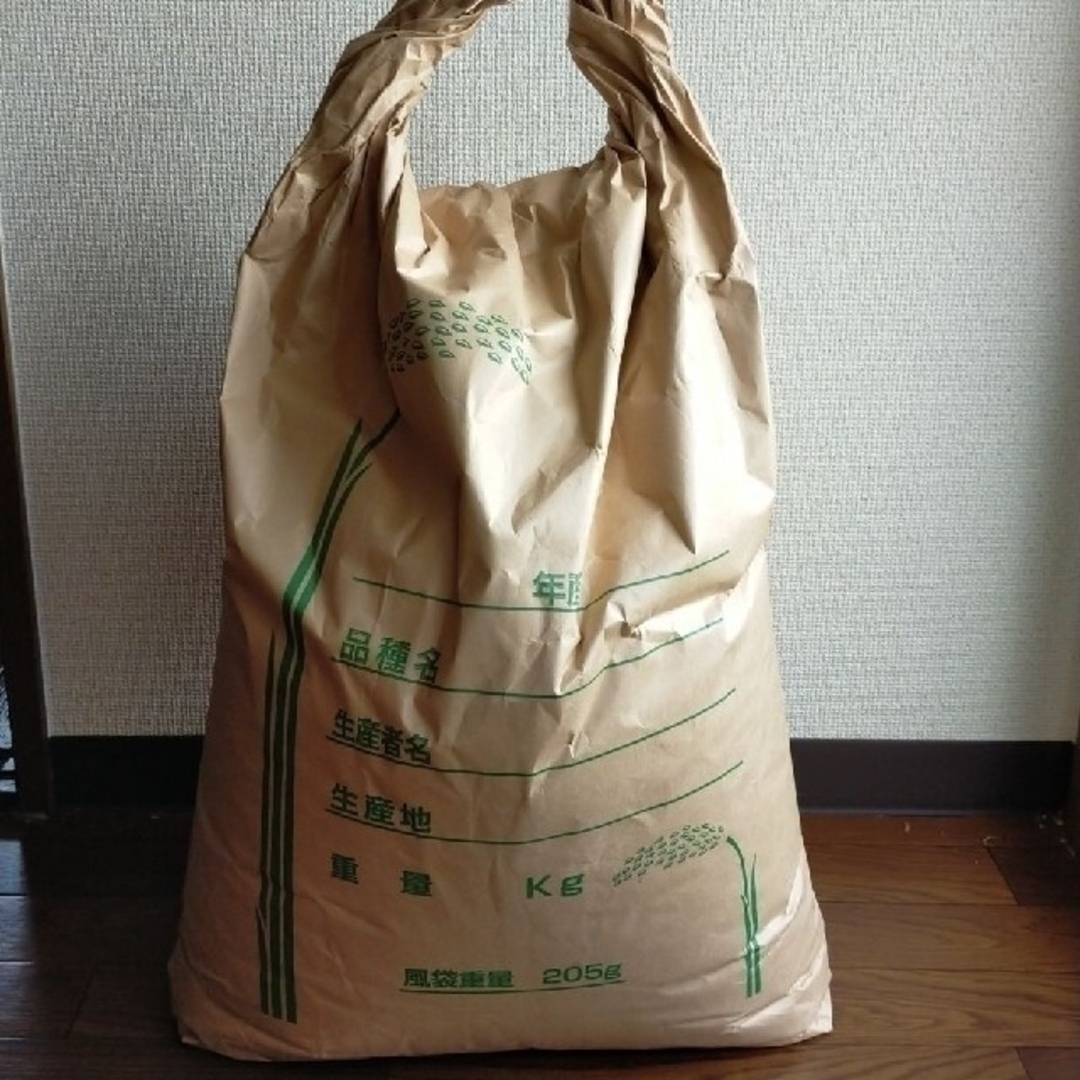令和5年】朝日米23kg　米/穀物