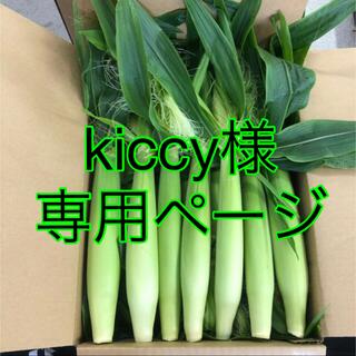 kiccy様専用ページ(野菜)