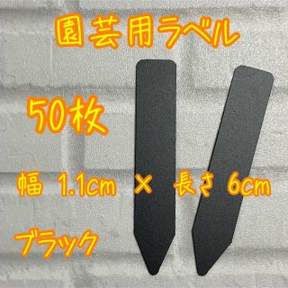 ブラック　ガーデニング 多肉植物に☺︎ 園芸用ラベル ネームラベル 50枚(その他)