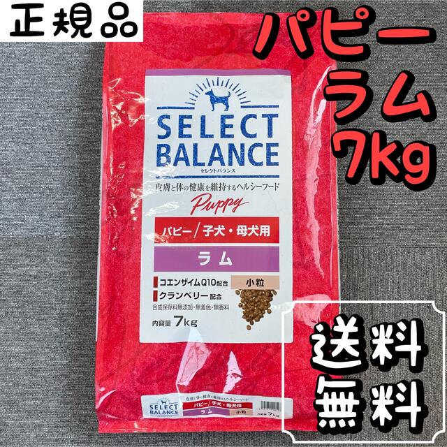 【新品】セレクトバランス　アダルト　ラム　小粒　7kg