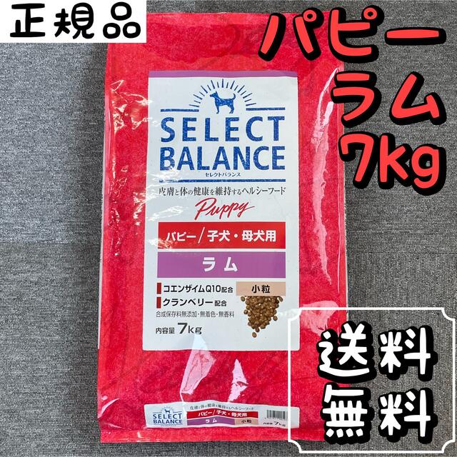 セレクトバランス パピーラム 小粒 7kg　2個セットバラ売り相談可能