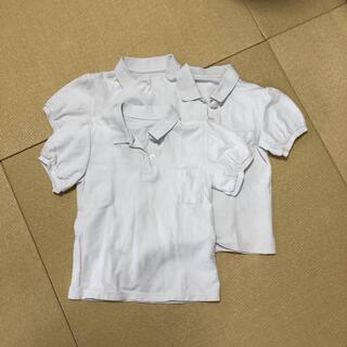 ニッセン(ニッセン)の小学校　制服　半袖ポロシャツ　女の子　130   3枚　綿100  パフスリーブ(Tシャツ/カットソー)