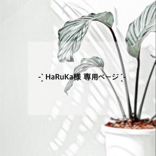 HaRuKa様 専用ページ(母子手帳ケース)