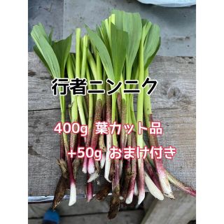 行者ニンニク　400g +50gおまけ付き　葉カット品　袴、汚れあり(野菜)