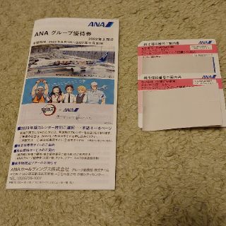 エーエヌエー(ゼンニッポンクウユ)(ANA(全日本空輸))のANA株主優待券(その他)