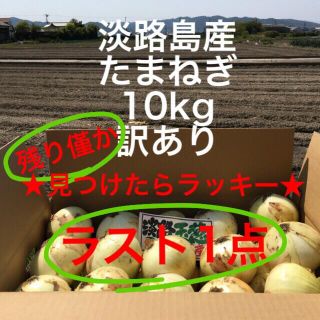 ラスト1点★見つけたらラッキー★ 淡路島産　玉ねぎ　訳あり　10kg 七宝(野菜)