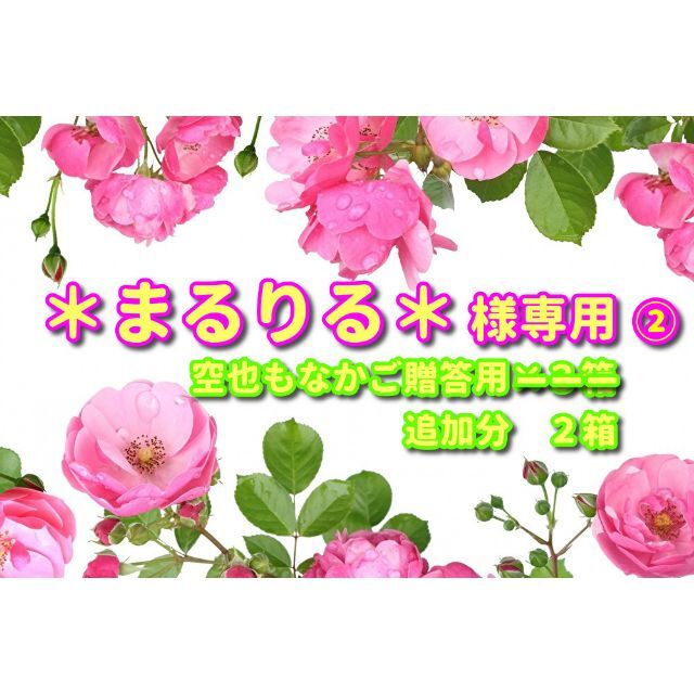 まるりる＊様専用 ②】「空也もなか」《化粧箱10個入》×２箱＋紙袋付の