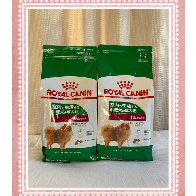 ROYAL CANIN - ロイヤルカナン ミニインドア アダルト 2kg×2袋の通販 by のんのんshop｜ロイヤルカナンならラクマ