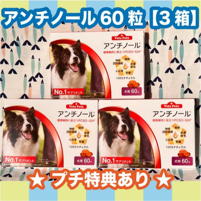 アンチノール　犬用　60粒　3箱〈おまけ付き〉