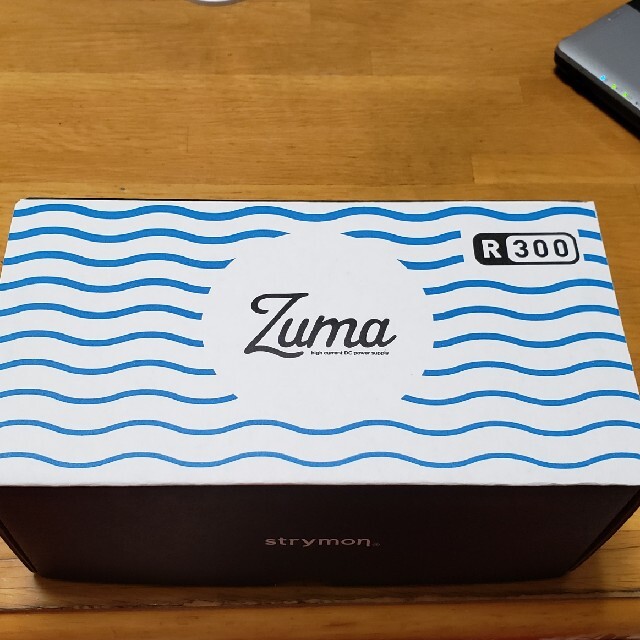 カピちゃん様専用 STRYMON Zuma R300 楽器のギター(エフェクター)の商品写真