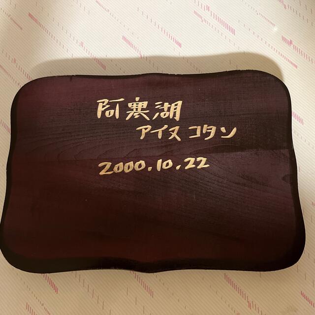 北海道阿寒湖アイヌコタン　熊の木彫 エンタメ/ホビーの美術品/アンティーク(彫刻/オブジェ)の商品写真