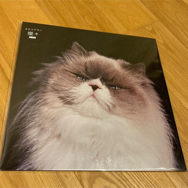 贈り物 カネコアヤノ アナログ盤LP レコード 燦々 邦楽 - kintarogroup.com 贈り物 カネコアヤノ アナログ盤LP レコード 燦々 邦楽 - kintarogroup.com