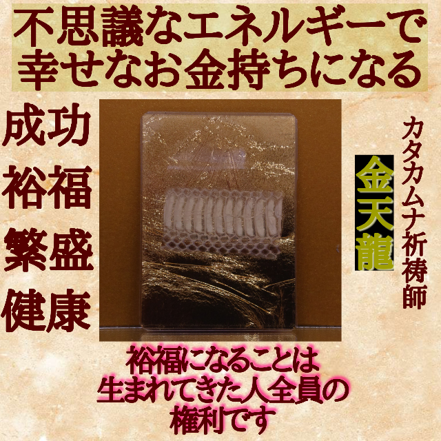 ✡️金運 御守り ゴールド エネルギー カタカムナ 蛇 風水 希少 財布 その他のその他(その他)の商品写真