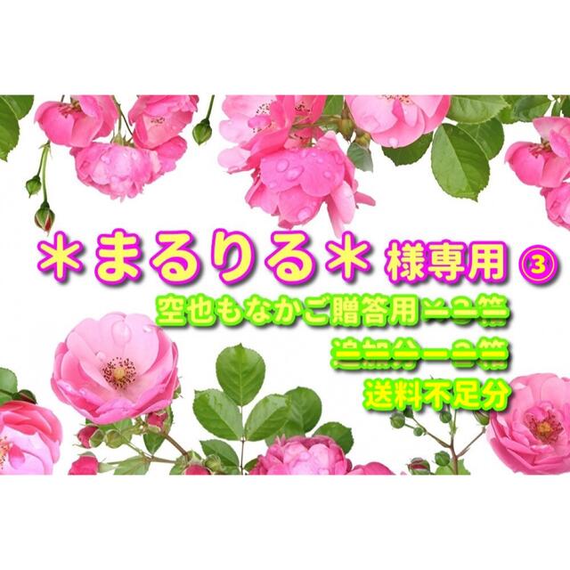 まるりる＊様専用 ③空也もなか送料不足分としての通販 by