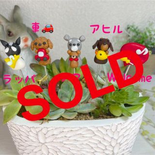 ハンドメイド　ガーデンピック　オモチャを持ったワンちゃんピック　多肉植物(その他)