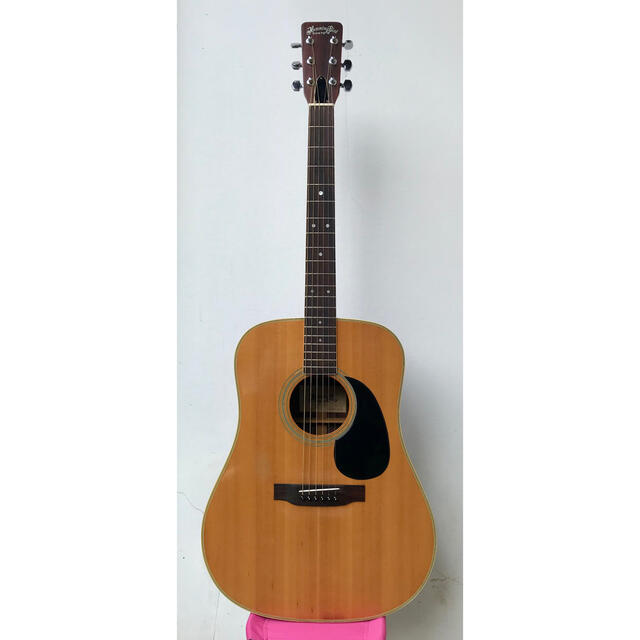 TOKAI / HUMMINGBIRD CUSTOM M W-250 | rotarastreia.com.br