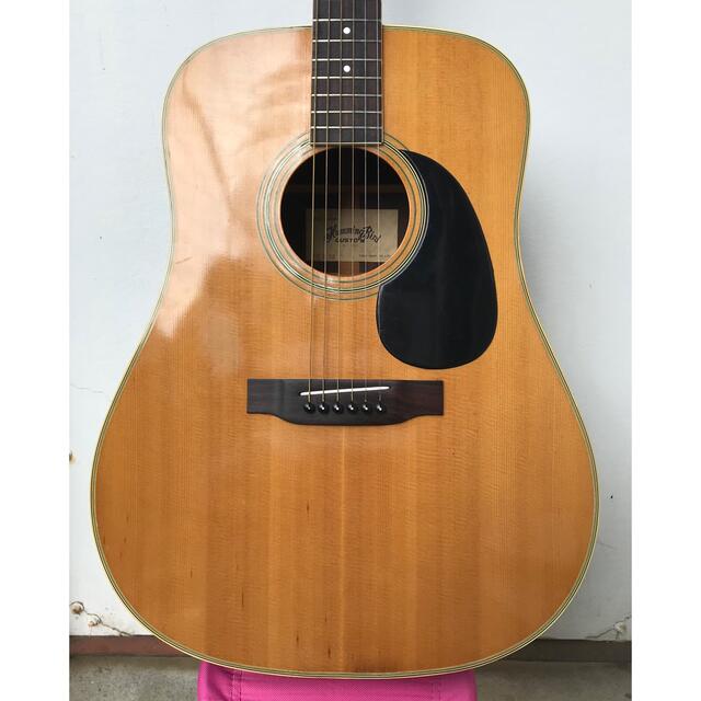 TOKAI / HUMMINGBIRD CUSTOM M W-250 | rotarastreia.com.br
